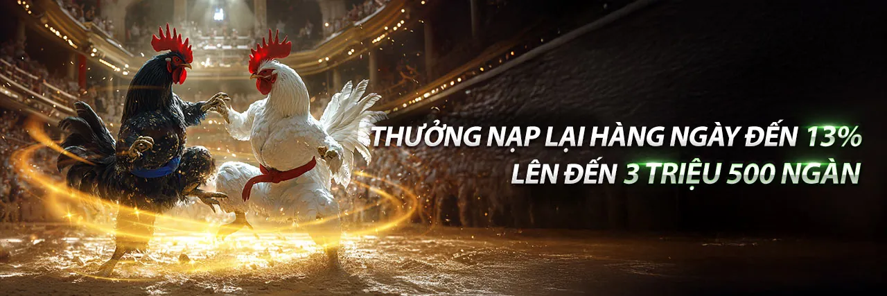 Đá Gà Campuchia Trực Tiếp Hôm Nay C1 – Sân đấu sôi động